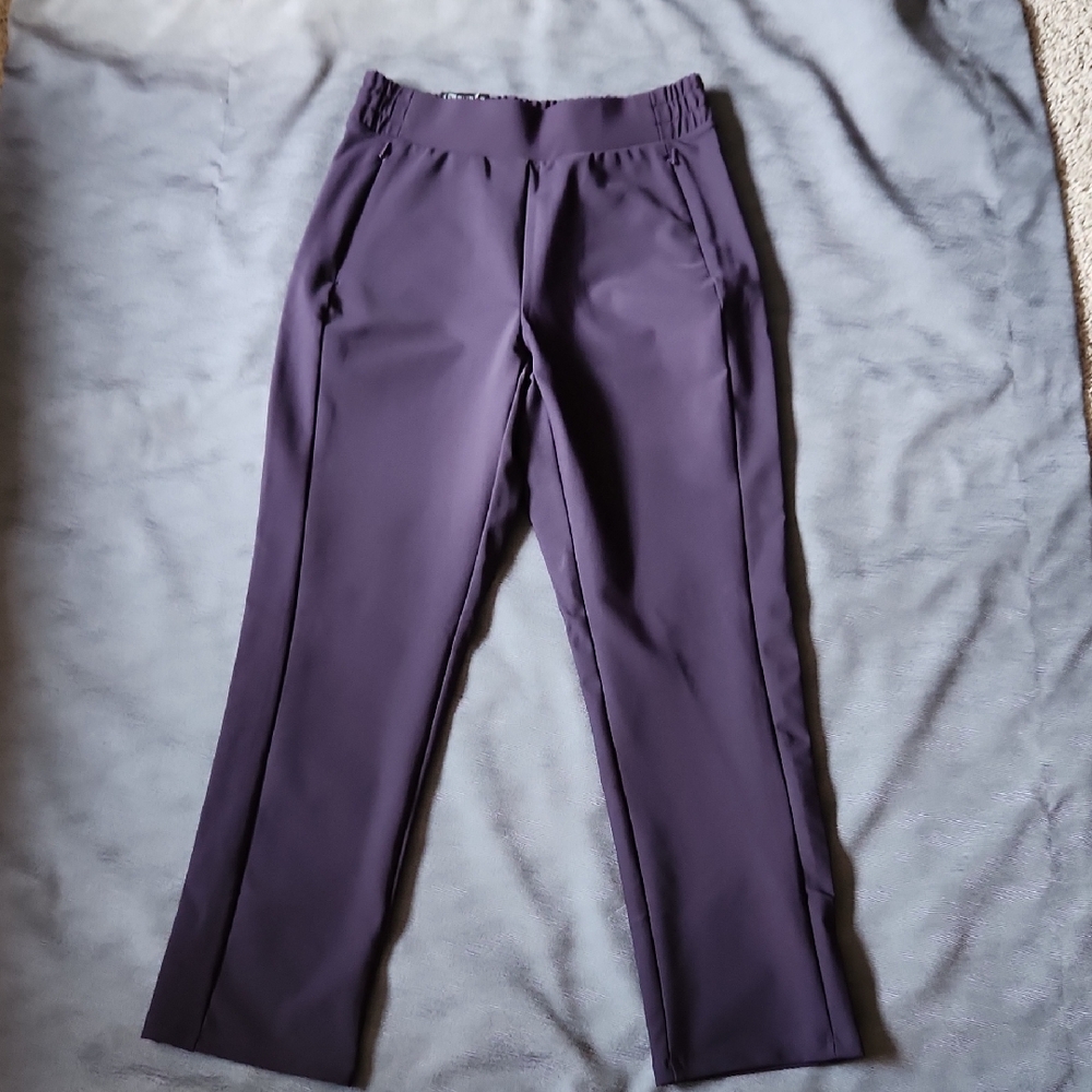 Spyder Men's Dark Purple Dress Pants